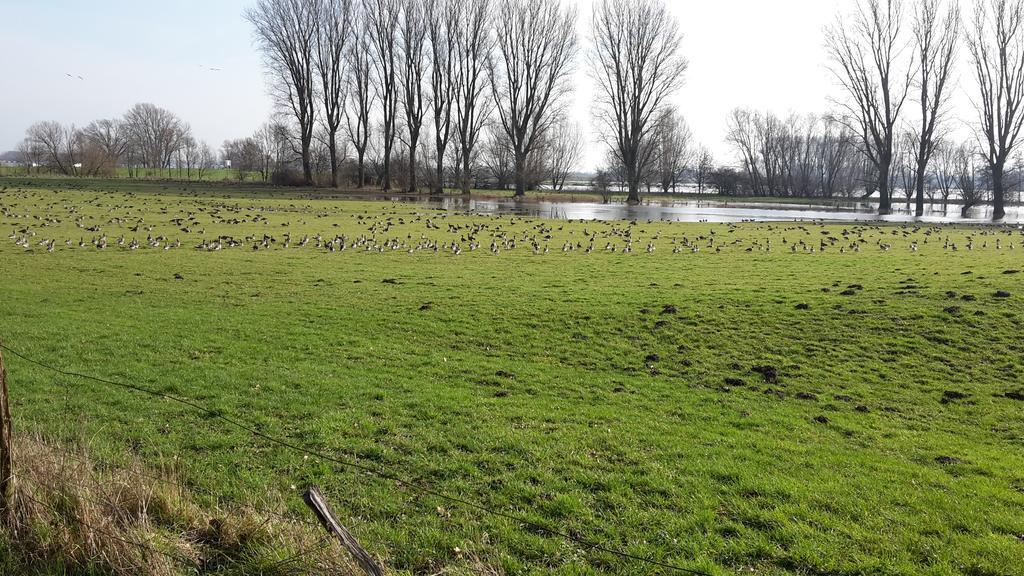 Ferienwohnung Eulenturm Xanten Esterno foto